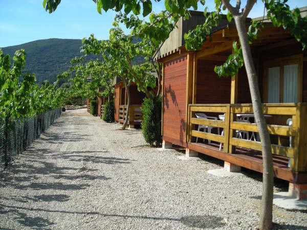 Cabanas Y Bungalows La Falaguera Barx Ngoại thất bức ảnh